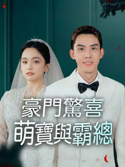  豪門驚喜：萌寶與霸總