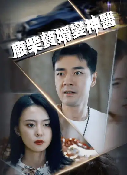 廢柴贅婿變神醫