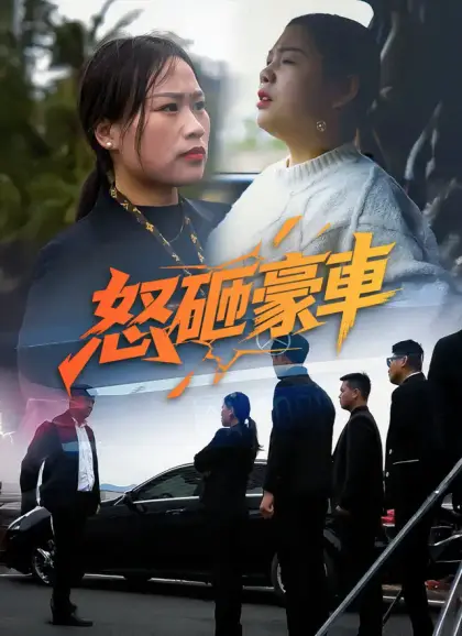 怒砸豪車