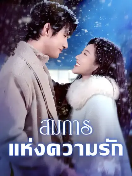สมการแห่งความรัก