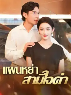 แผนหย่าสามีใจดำ
