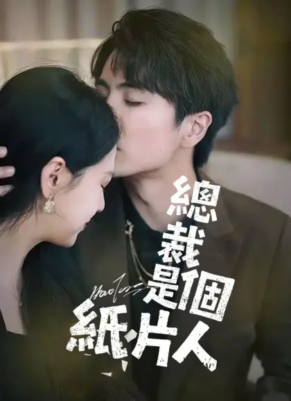 總裁是個紙片人