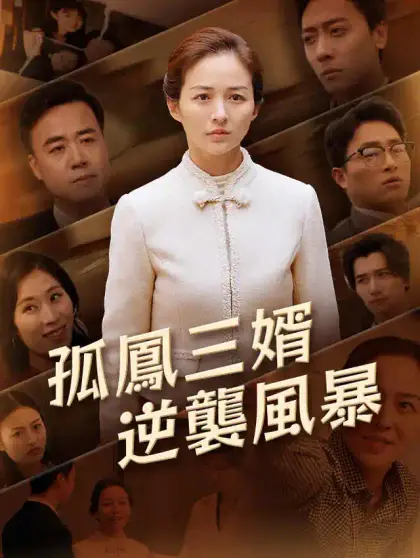 孤鳳三婿逆襲風暴