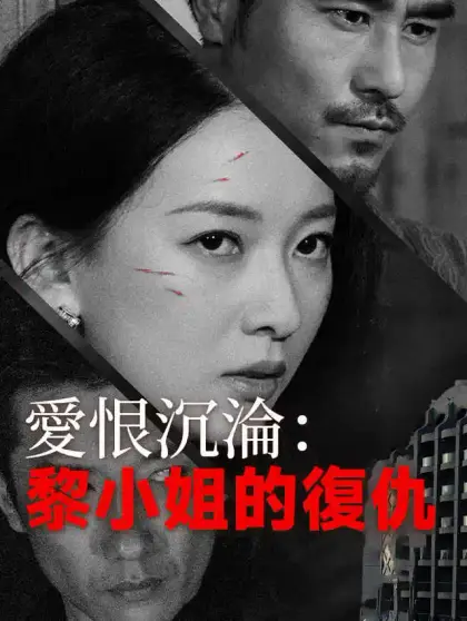 愛恨沉淪:黎小姐的復仇